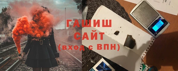 стафф Гусев