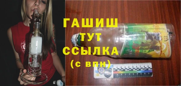 стафф Гусев