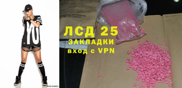 индика Дмитров