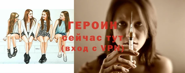 гашик Дмитриев