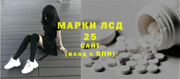 стафф Гусев
