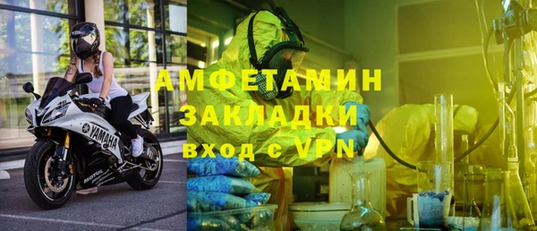 индика Дмитров