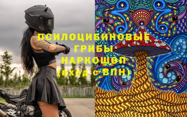 стафф Гусев