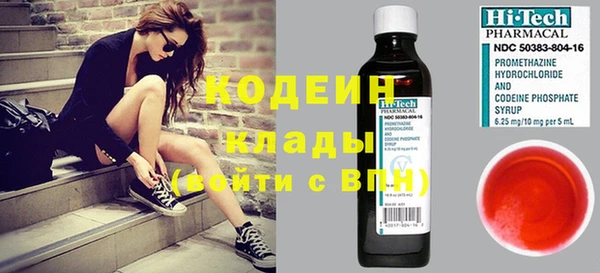 стафф Гусев