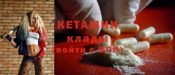 стафф Гусев
