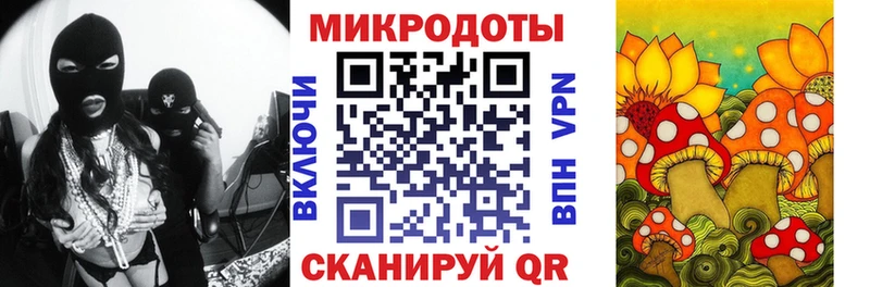 блэк спрут   Пустошка  Псилоцибиновые грибы Magic Shrooms 